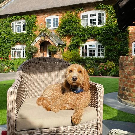 Little Woodside A Beautiful New Forest Self Contained Private Luxury Annexe New Milton Kültér fotó
