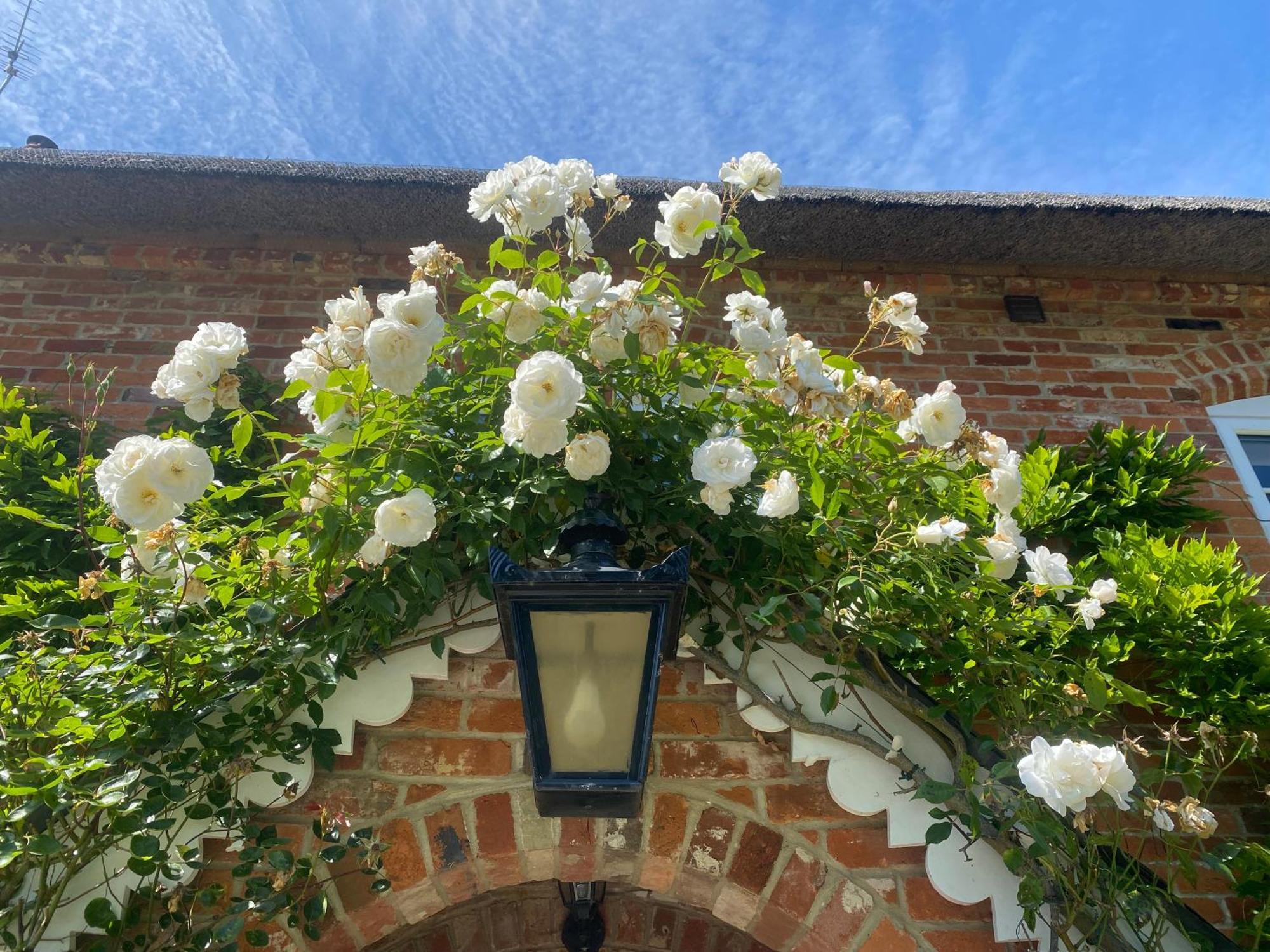 Little Woodside A Beautiful New Forest Self Contained Private Luxury Annexe New Milton Kültér fotó