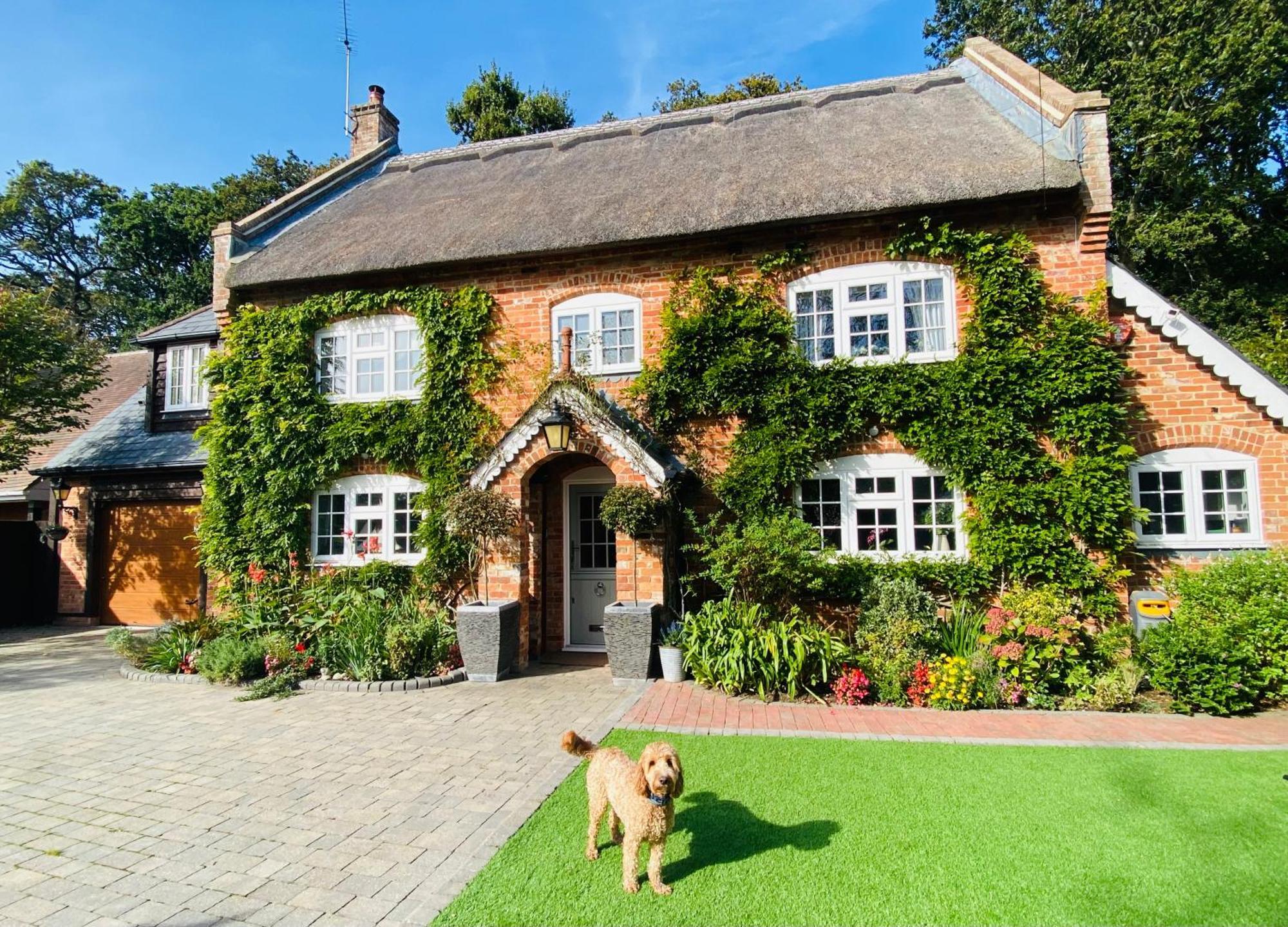 Little Woodside A Beautiful New Forest Self Contained Private Luxury Annexe New Milton Kültér fotó