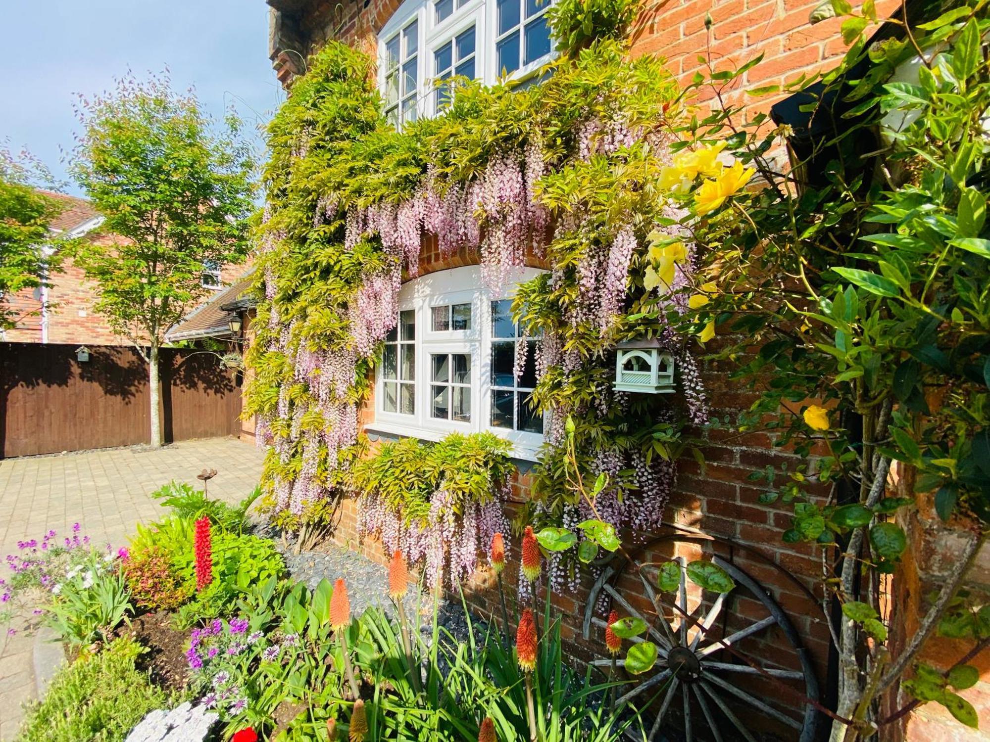 Little Woodside A Beautiful New Forest Self Contained Private Luxury Annexe New Milton Kültér fotó