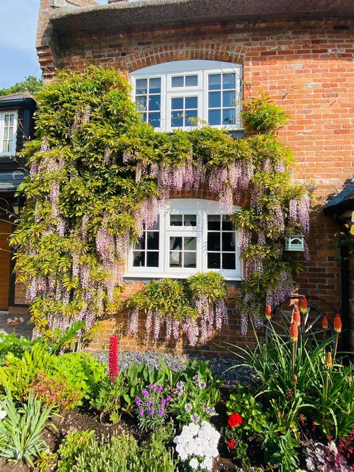 Little Woodside A Beautiful New Forest Self Contained Private Luxury Annexe New Milton Kültér fotó