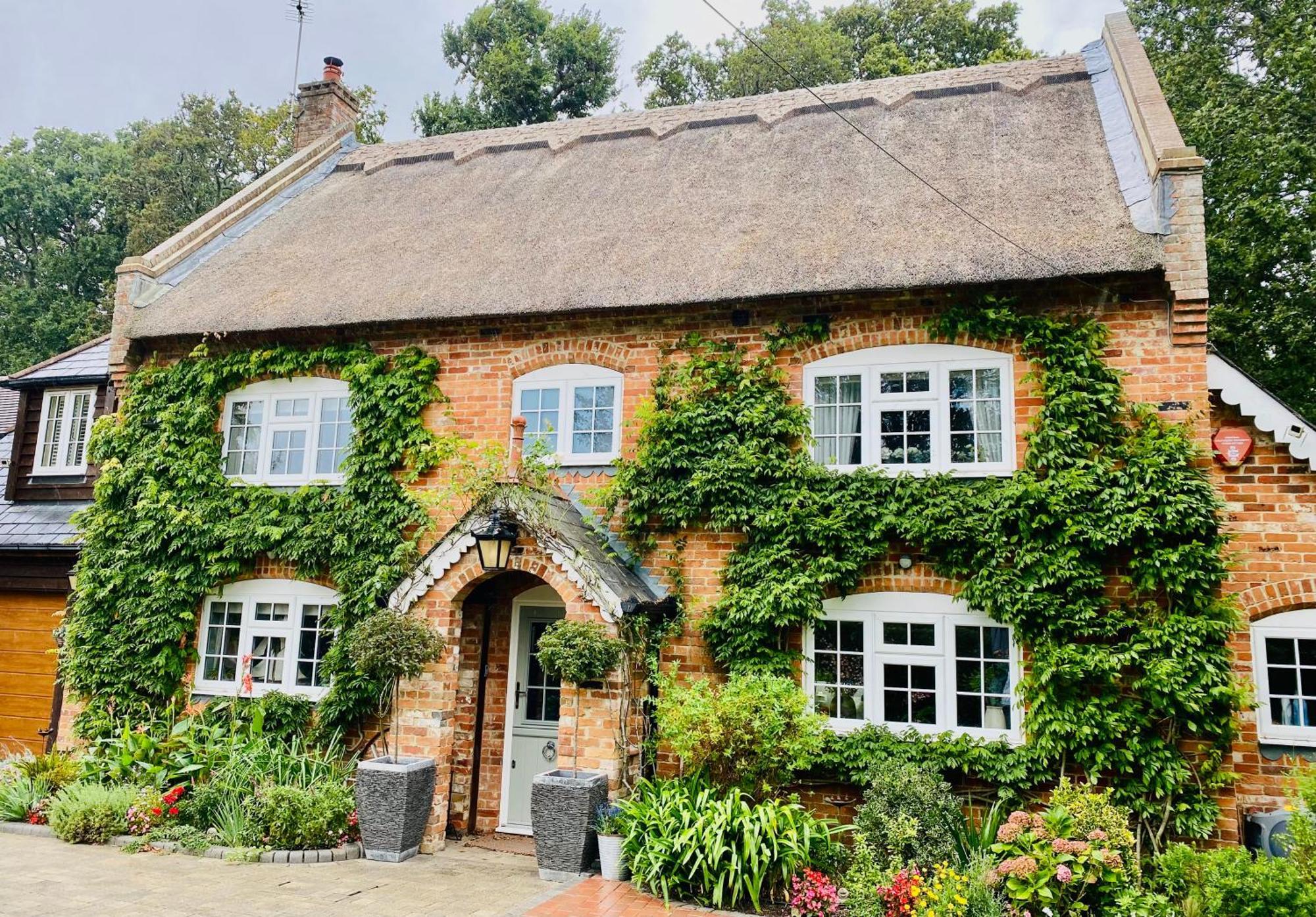 Little Woodside A Beautiful New Forest Self Contained Private Luxury Annexe New Milton Kültér fotó