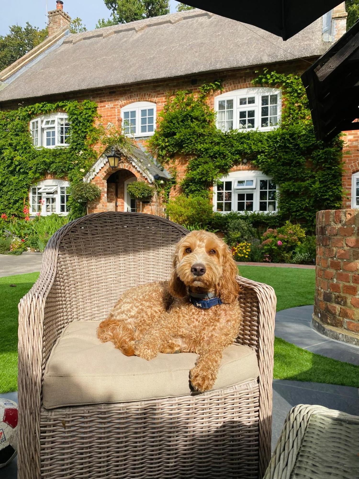 Little Woodside A Beautiful New Forest Self Contained Private Luxury Annexe New Milton Kültér fotó
