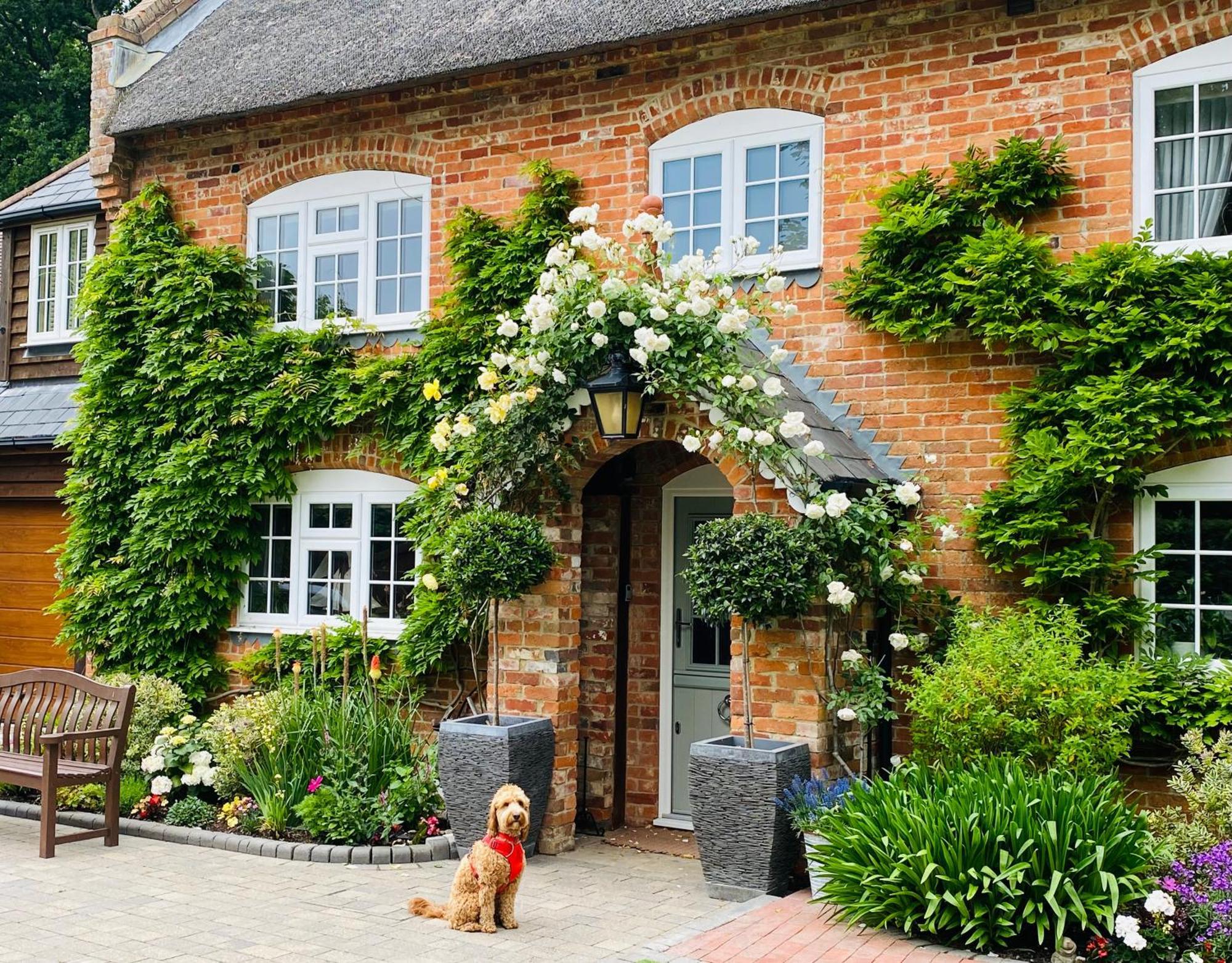 Little Woodside A Beautiful New Forest Self Contained Private Luxury Annexe New Milton Kültér fotó